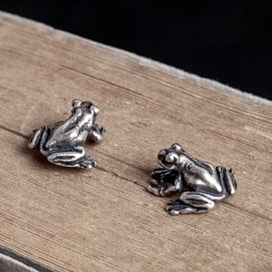 Animal Frog Punk Earrings
