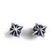 Eight Awn Star Earrings